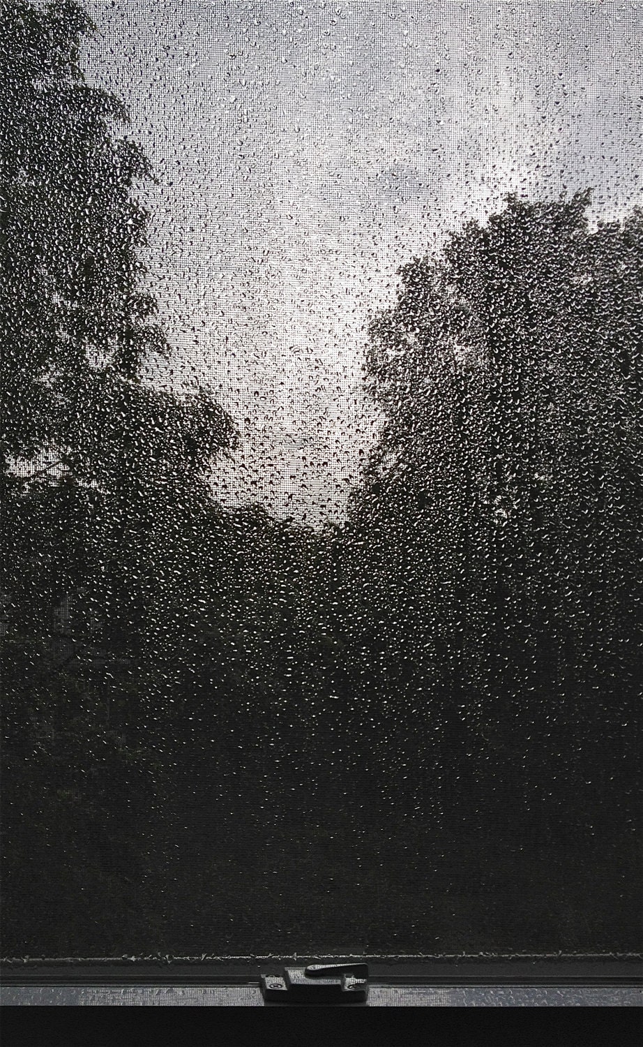 Rain on my Window - Blank 5x7 Note Card