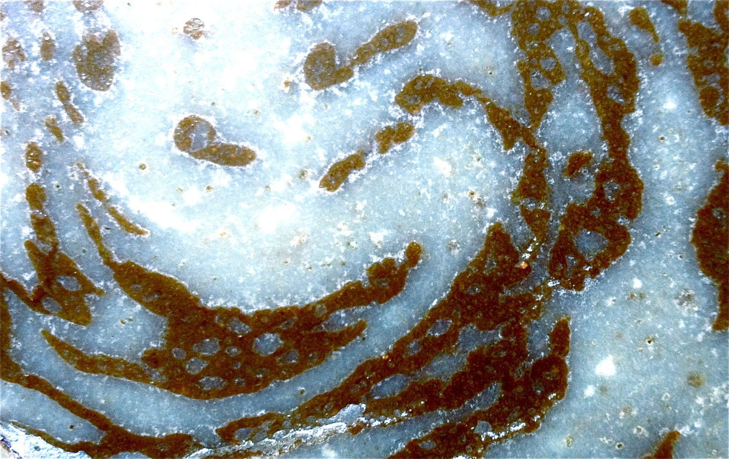 Billions and billions of years ago...there was a bowl of beef fat.