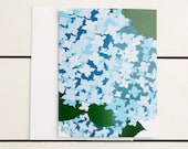 Hydrangea Note Card