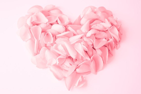 Heart Rose Petals photo 8x12 Fine Art Photography love pink print still life wall art decor