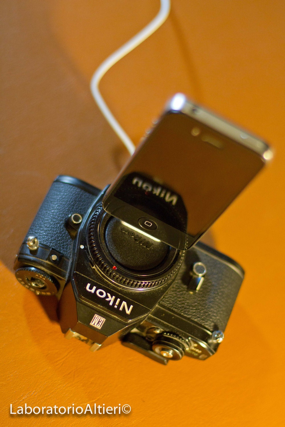 Custom Order for Erika - Nikon