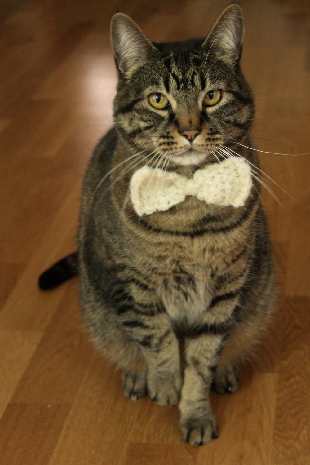 The Mr. White  Cat Bow Tie
