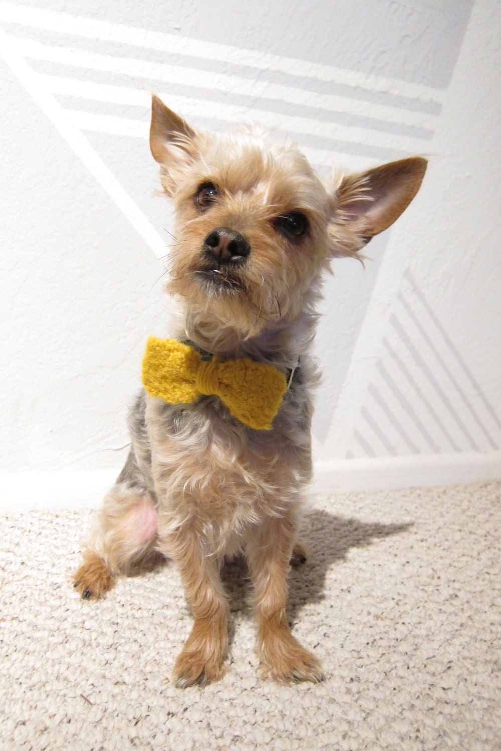 The Mean Mr. Mustard
