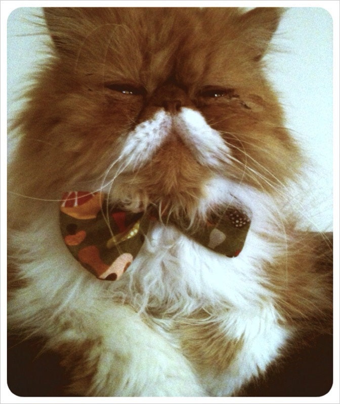 The Electric Kool-Aid  Cat Bow Tie
