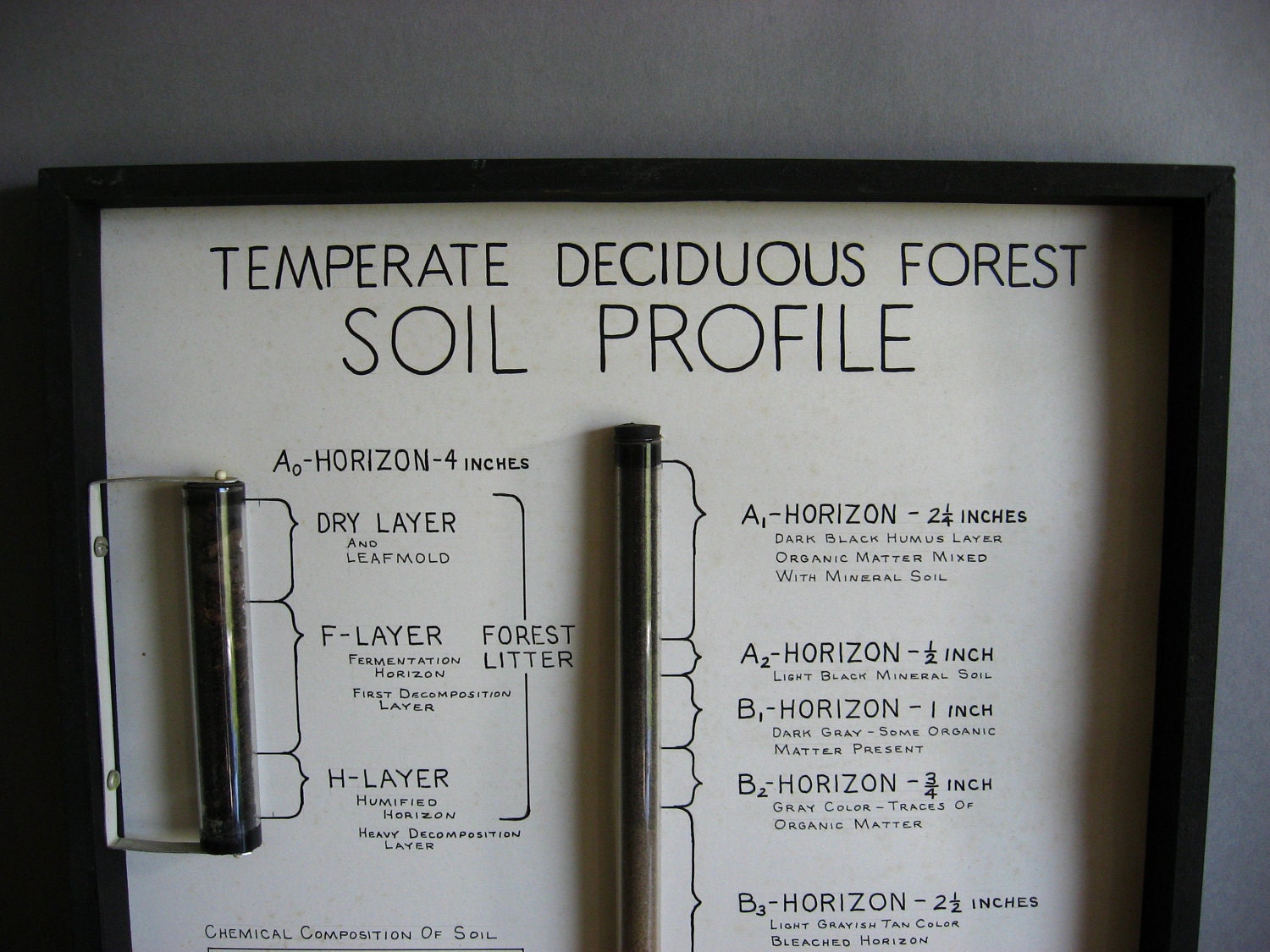Vintage Soil Profile Collection