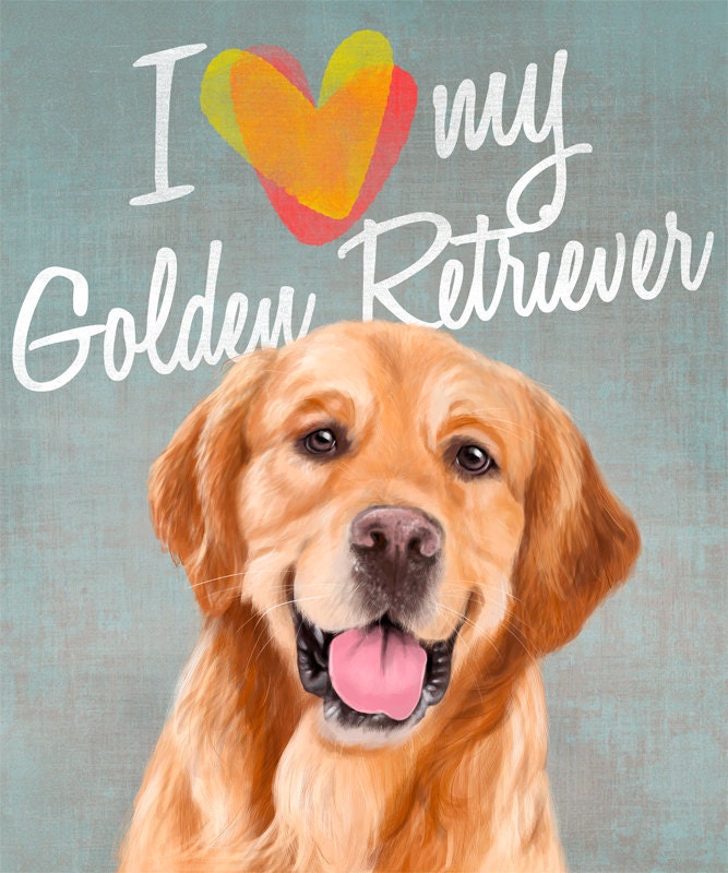 I love You A Golden Retriever on grey background (poster 8x10) Illustration fine art giclée prints