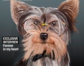 Yorkshire terrier portrait on Life magazine cover (poster 4x5) Dog Illustration fine art giclée prints