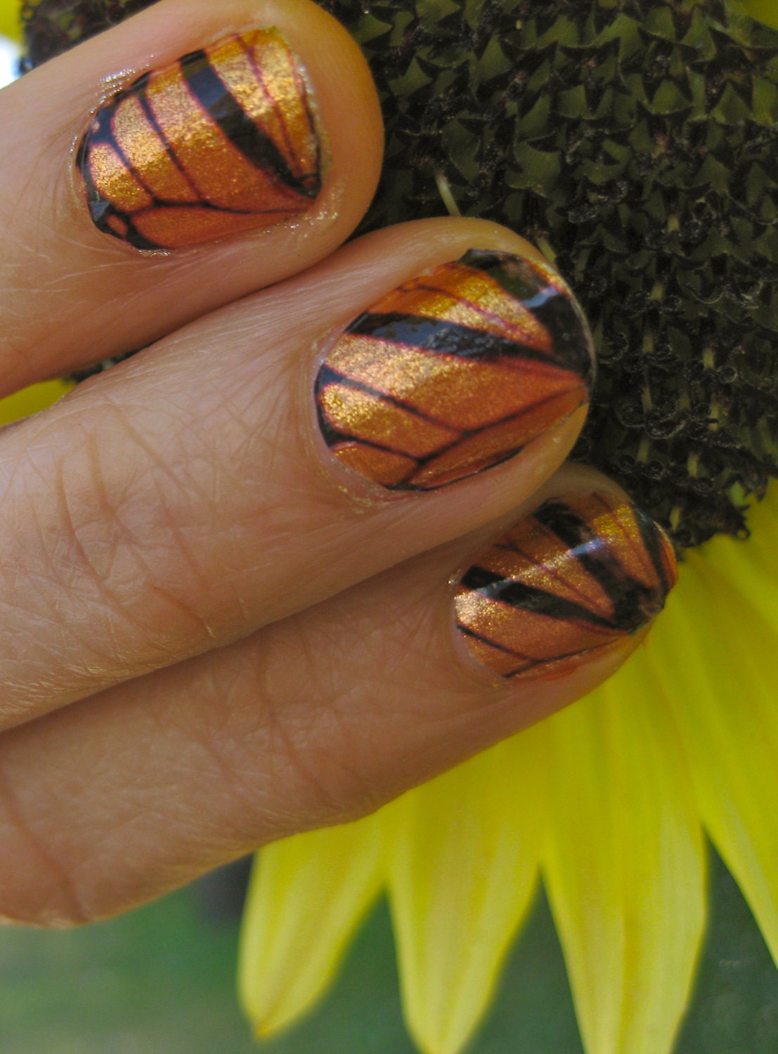 Regal Morelia Mexican Monarch Clear Nail Decals