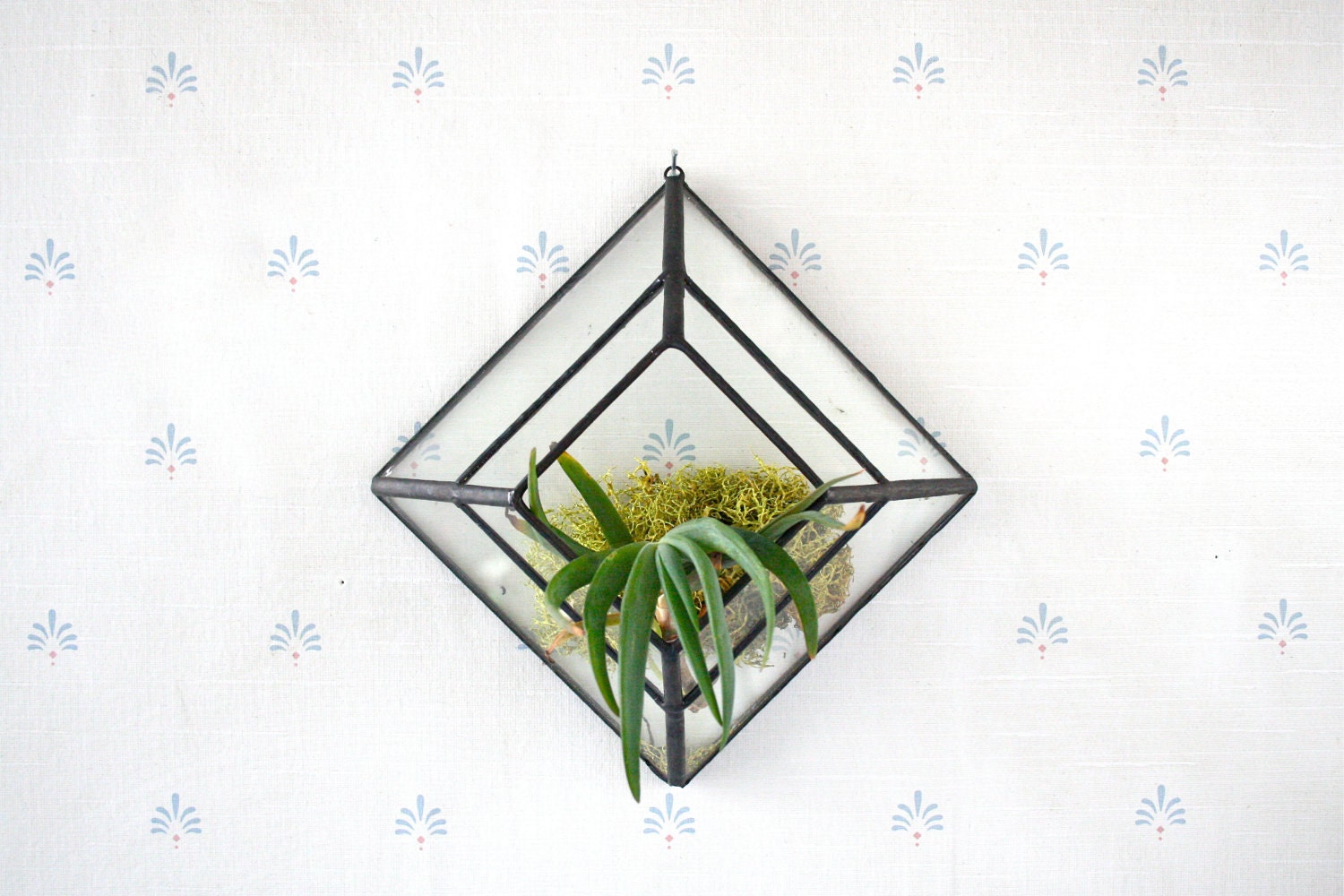 Pyramid Wall Sconce Terrarium //made with recycled glass//