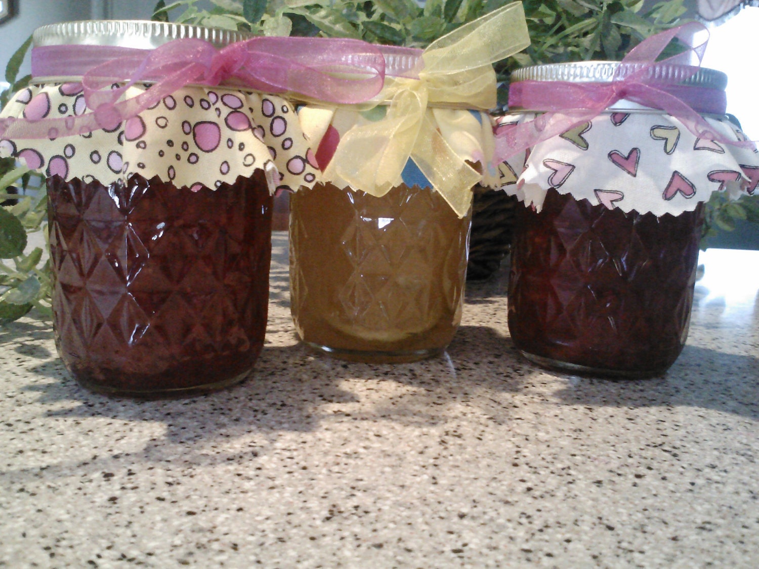 Summertime Gift Pack/ ANY 3 / Jam -Marmalade-Jelly / Treasury Item/ Featured on ETSY Home Page