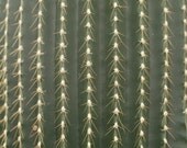 Cactus Texture: a close up of green and white 8x10 Fine Art Photography Print