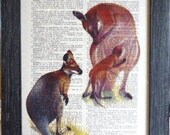 Kangaroo print on an vintage french dictionary page, dictionary print for your wall  (116)