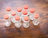 Ten (10) Vintage Spice Jars