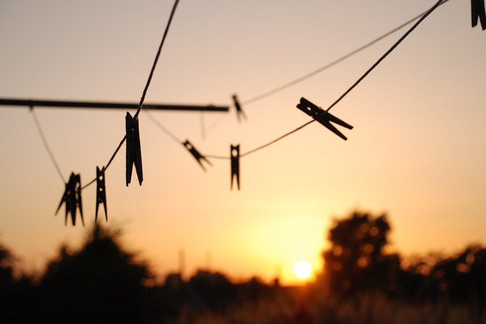Swallows on a wire -Fine Art Photography- Archival paper 8x12