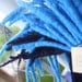 Felted Blue Wool Dreadlock Extensions