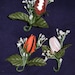 Boutonnieres