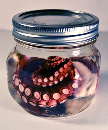 Real Preserved Octopus Tentacle Wet Specimen Decor