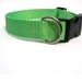 Medium Dog Collar Adjustable in Hot Pink Green Blue Purple