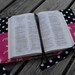 SwEeT and SaSsY Bible / Book Cover