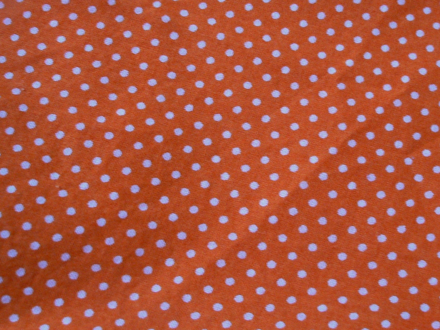 Laminated Cotton Front - Urban Zoologie Whales and Orange Sleeves