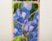Bluebonnet Decorative Bottle