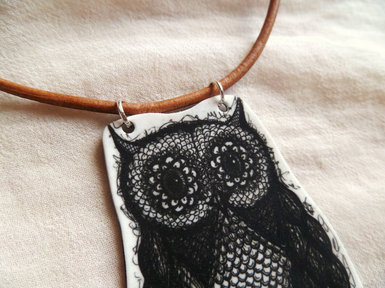 Cheeky Owl