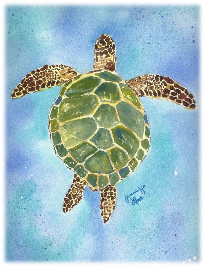 Cards / Notecards - Set of 6 Jennifer Love Artwork Sea Turtles art notecard Assortment 4.25" x 5.5" - Brown Red Green EBSQ