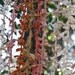 Knotted Fabric Wedding Backdrop