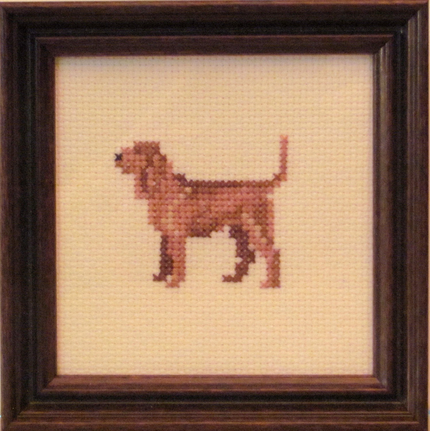 Bloodhound Cross