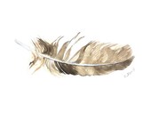 ONE feather original watercolor painting by Eva Forest Paper size: 8,26"x11,7" (21x29,7cm A4)