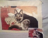 dogs cats and all pets HAND MADE TAPESTRIES To Order  from photos I also do relatives friends and events  past and present