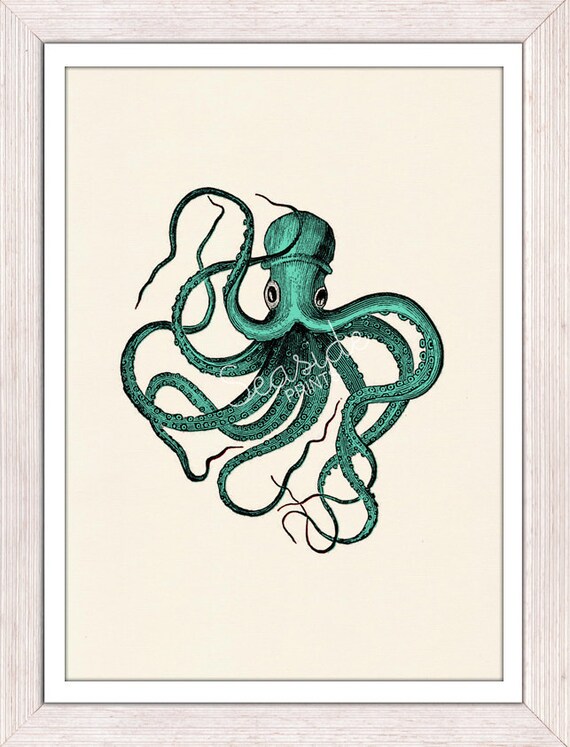 Octopus wall art Print Vintage octopus n2- sea foam color -sea life print