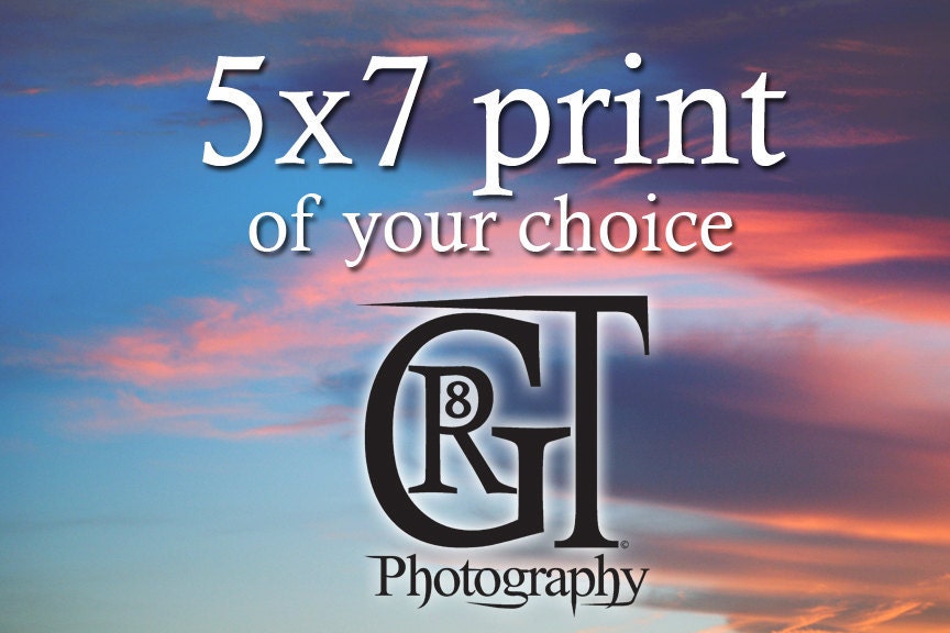 One 5x7 Print of Your Choice