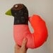 Gertruda the goose