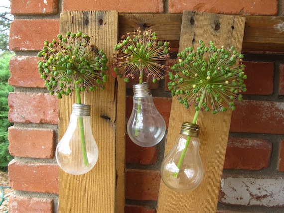 Upcycled Hanging Bulb Vase Trio