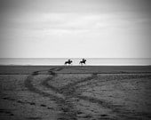 Horse photo, black and white fine art photo print, 'tiny horses' animal photograph, 12x12, IN STOCK