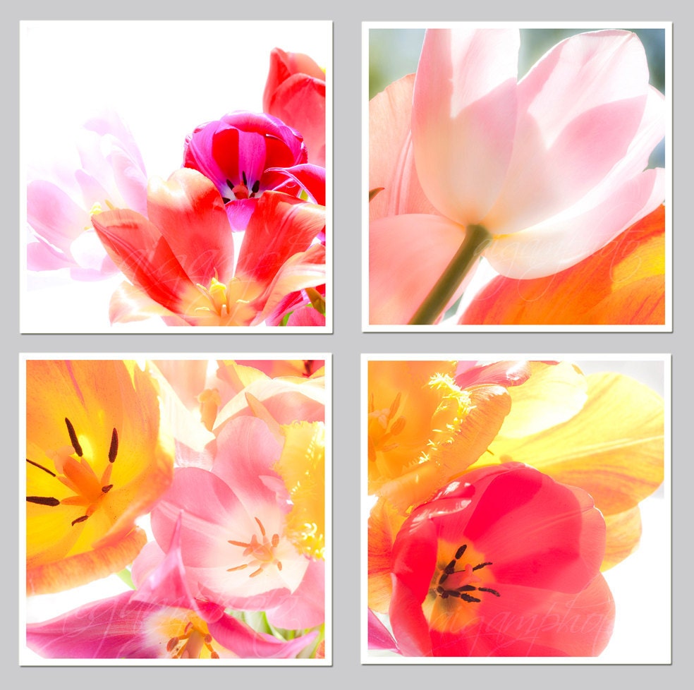 Floral home decor, tulips pink red  photography, bright  shabby chic pink red  flowers, wall art  print 8x8 inch    4 set
