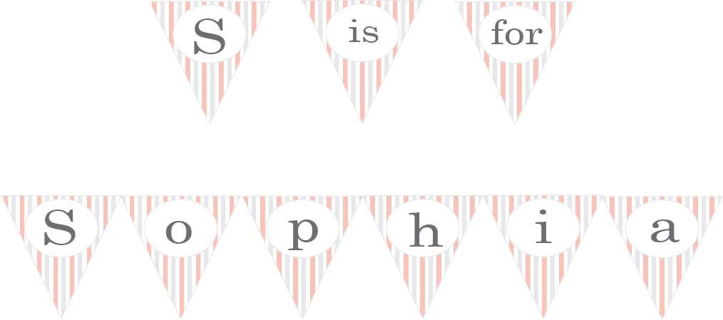 Personalized Baby Name Banner for Shower or Nursery: Pink Il_570xn