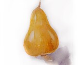 Watercolor painting-Watercolor pear-Painting of pear in watercolors - rakla