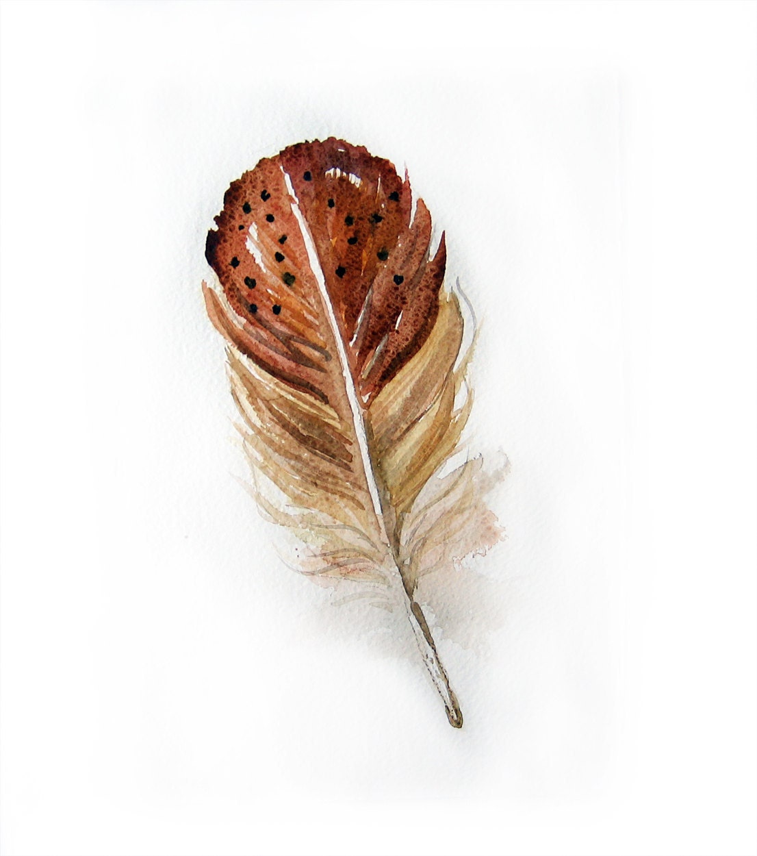 Watercolor Feather-Watercolor painting of feather-Feather painting-Feathers in brown and beige - rakla