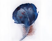 Watercolor Feather-Feather painting of watercolor-Blue feather 7.5/11 inch-Art original-Wall art - rakla