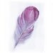 Watercolor Feather painting-Art original-Feather painting