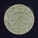 Antique Celestial Sphere Print Astronomy Chart Northern Hemisphere Stars Constellations