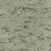 Antique Celestial Sphere Print Astronomy Chart Northern Hemisphere Stars Constellations