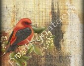 ORIGINAL abstract landscape PRINT 8" x 8" birds home decor wall art wall decor room decor digital photography nature photo paintings
