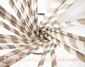 Striped Paper Drinking Straws (25) - Soft GREY