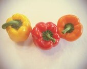 3 Pepper Tops- 5 x 7 photograph