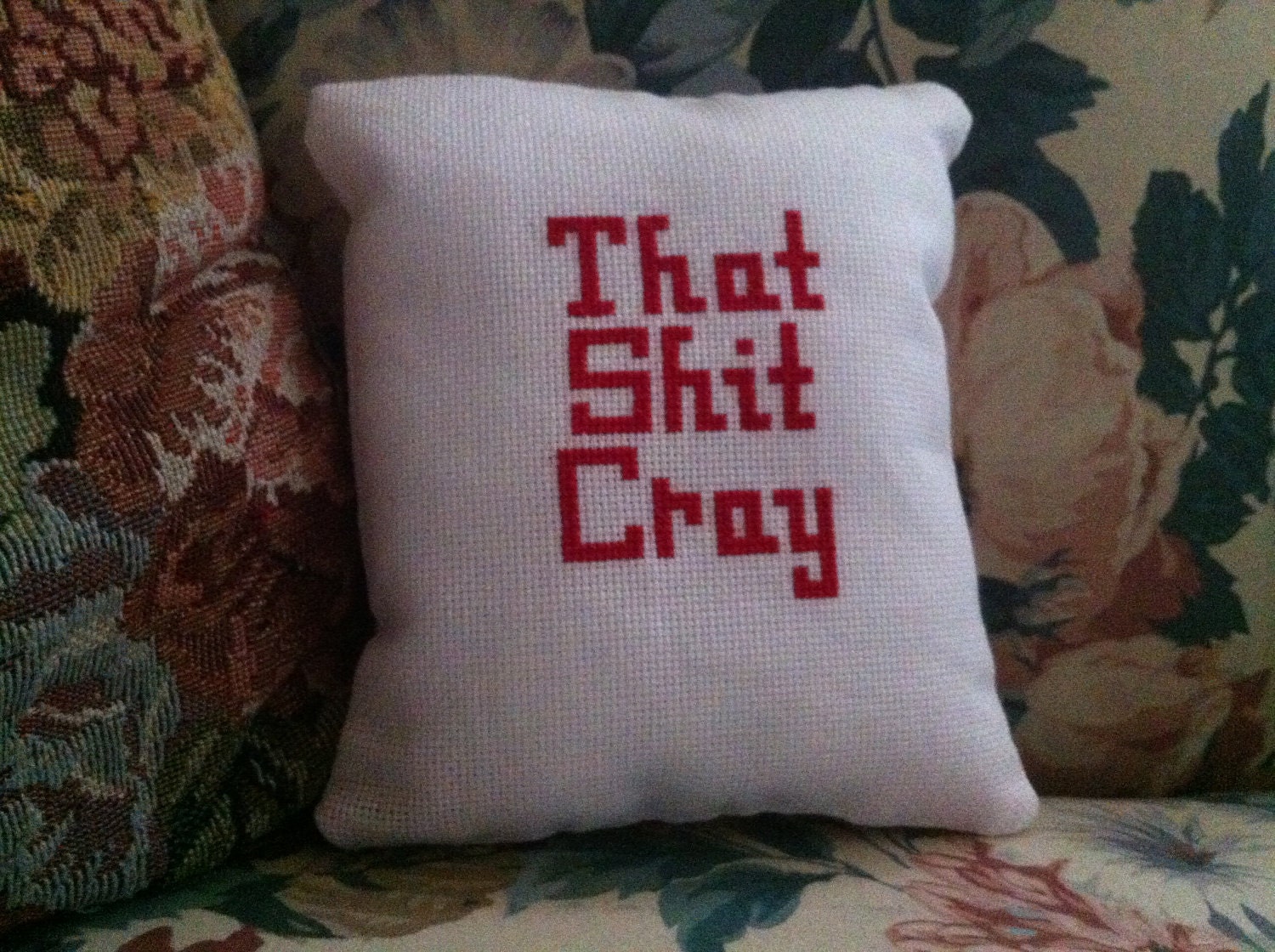 That Sh%t Cray decorative pillow