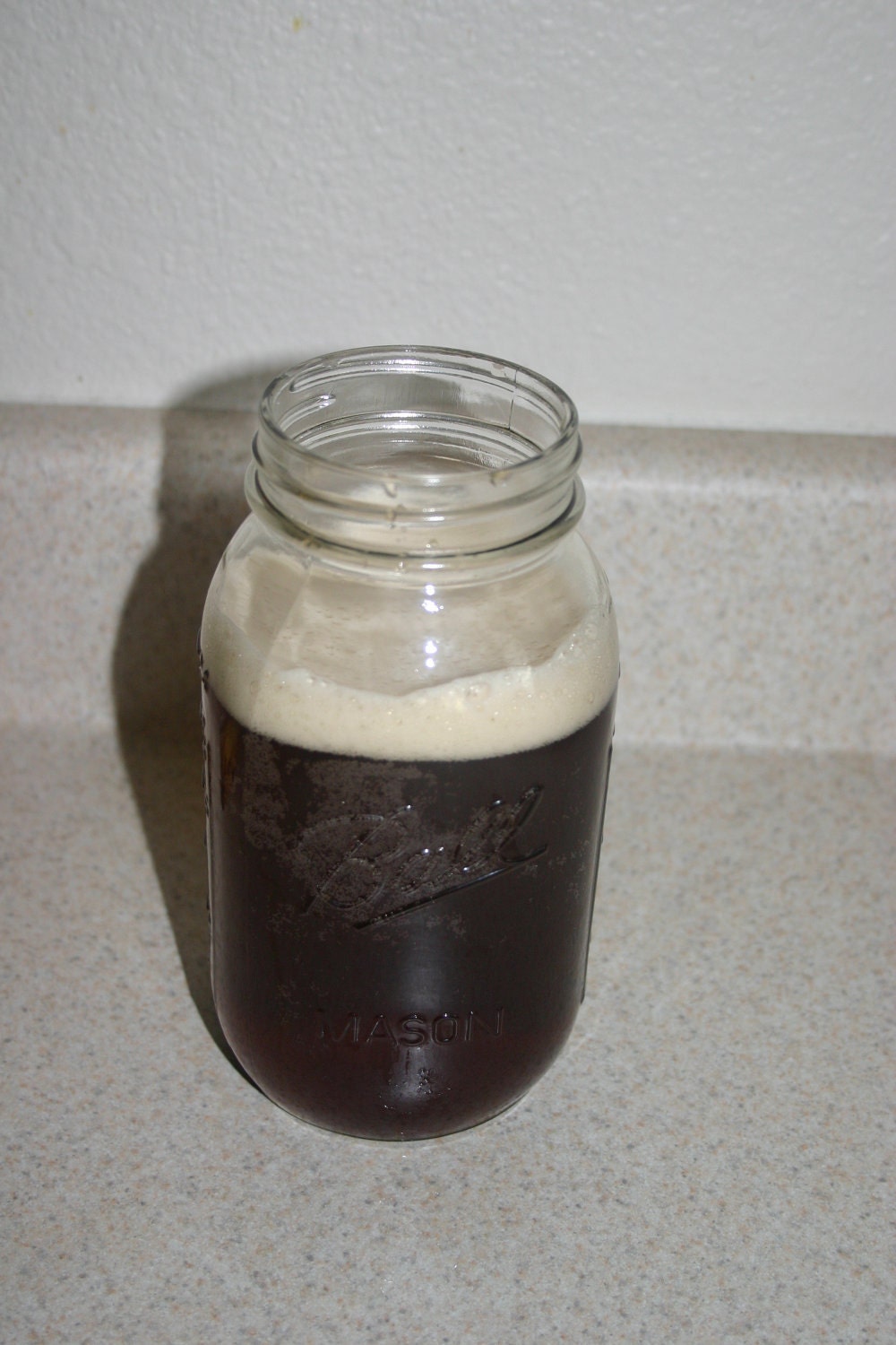 Kombucha Culture (scoby/ Scobie) mother culture quart size ORGANIC