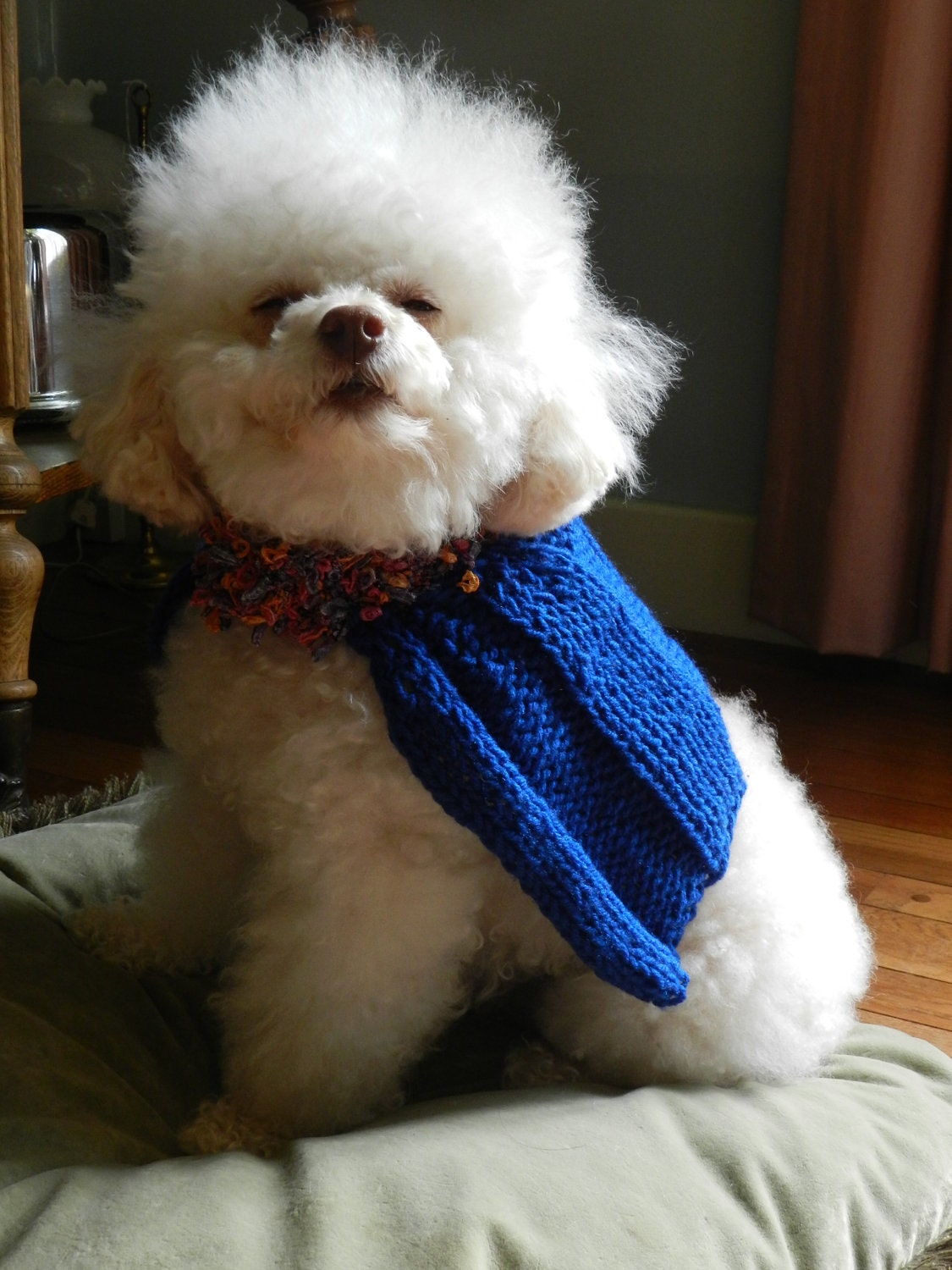 Rainbows and Confetti.......Royal Blue Turtleneck Cape, Ribbon Yarn, Pleated, Warm dog jacket, Made in Vermont